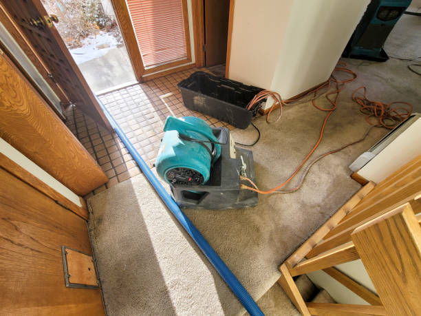 Best Water damage restoration near me  in Charlotte, MI