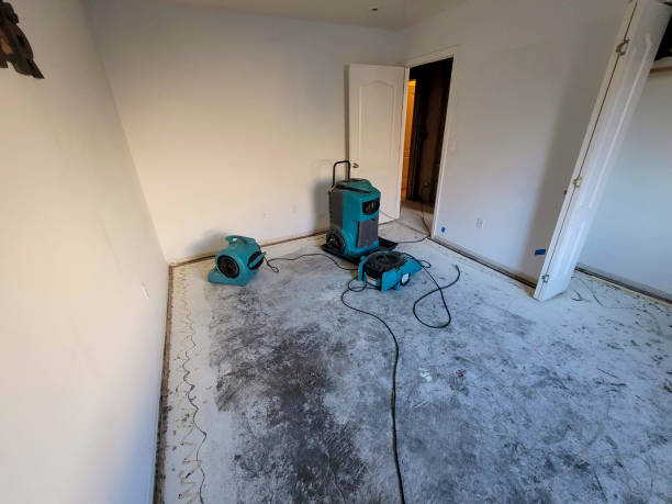 Best Water damage cleanup near me  in Charlotte, MI