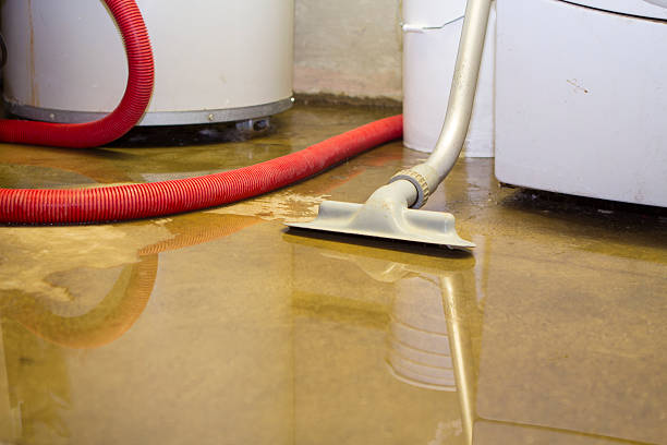 Water damage restoration experts in MI