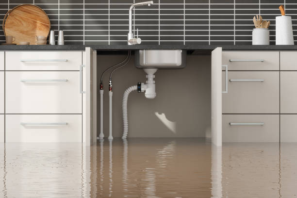 Best Flood damage cleanup  in Charlotte, MI